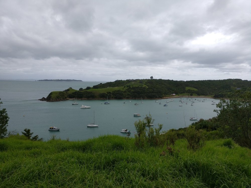 Waiheke Five-O shuttle vehicle